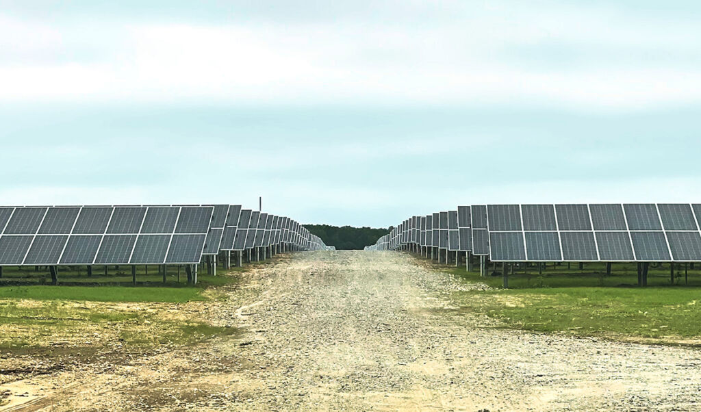 Middle Island Solar Farm